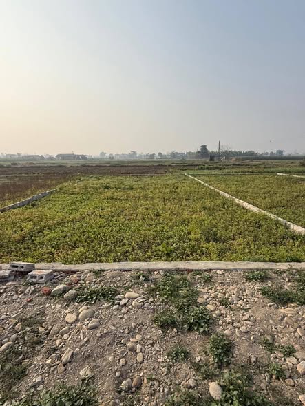 जग्गा बिक्रीमा – चितवन, रत्ननगर– ३