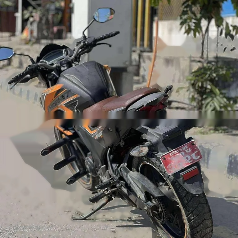 Honda Hornet 101 Lot Super Fresh Condition Onsell