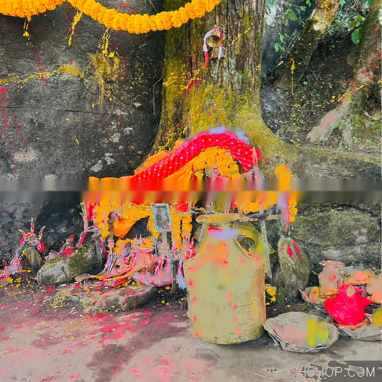 Honda City 2009 Model Single Hand Service History